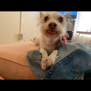 Meet your Posher, Alex